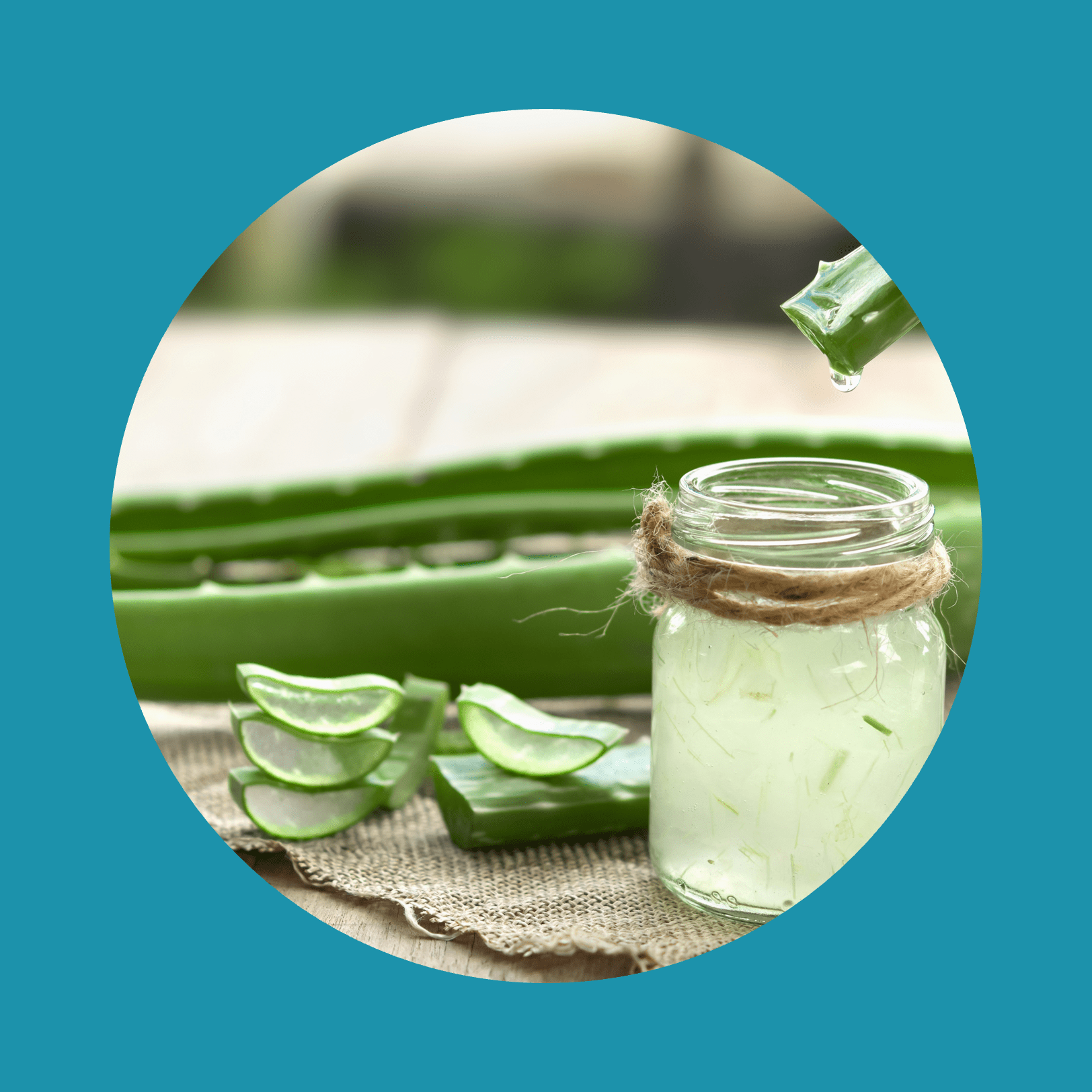 Aloe Vera phytothérapie très utile pour le traitement de la peau et utilisation en spa pour les soins de la peau. herbe dans la nature