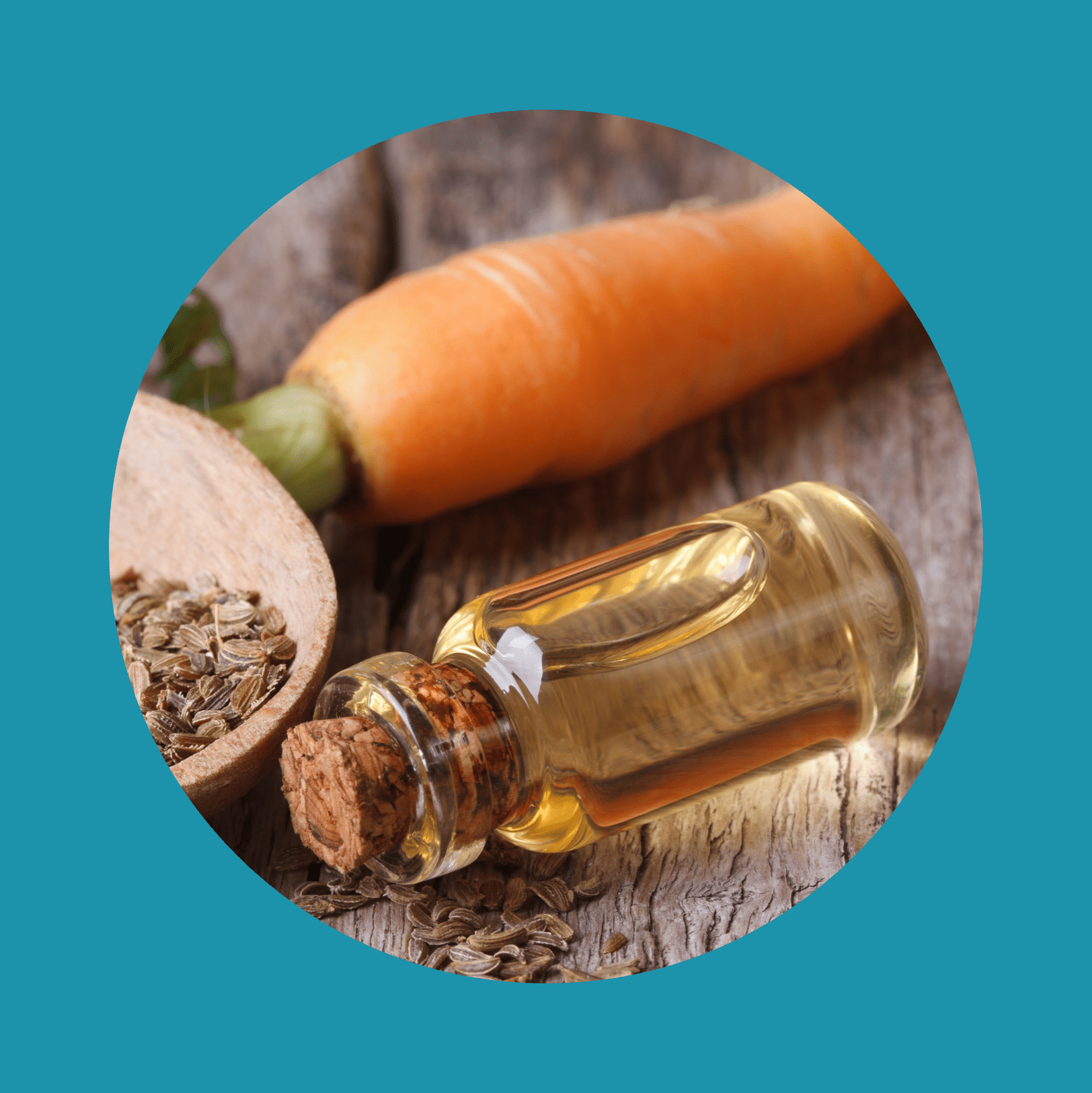 oil of carrot seeds in a glass bottle closeup top view